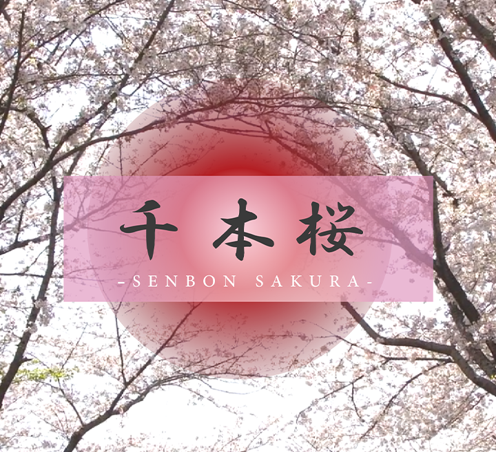 美日不卡AV-MKV高清影视大全在线观看